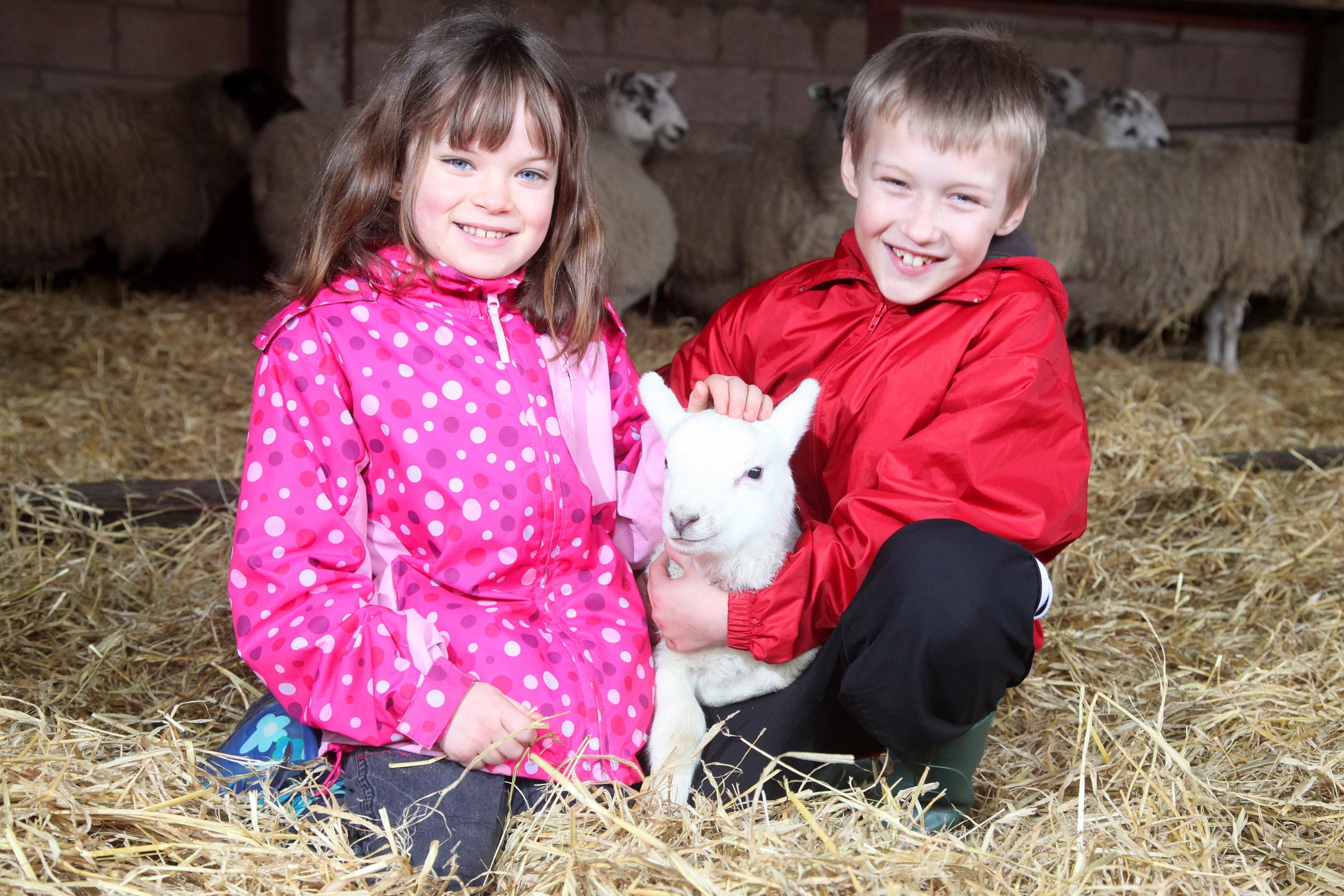 Farm to Plate - Hopetoun Estate & Royal Highland Education Trust fill in the gaps!